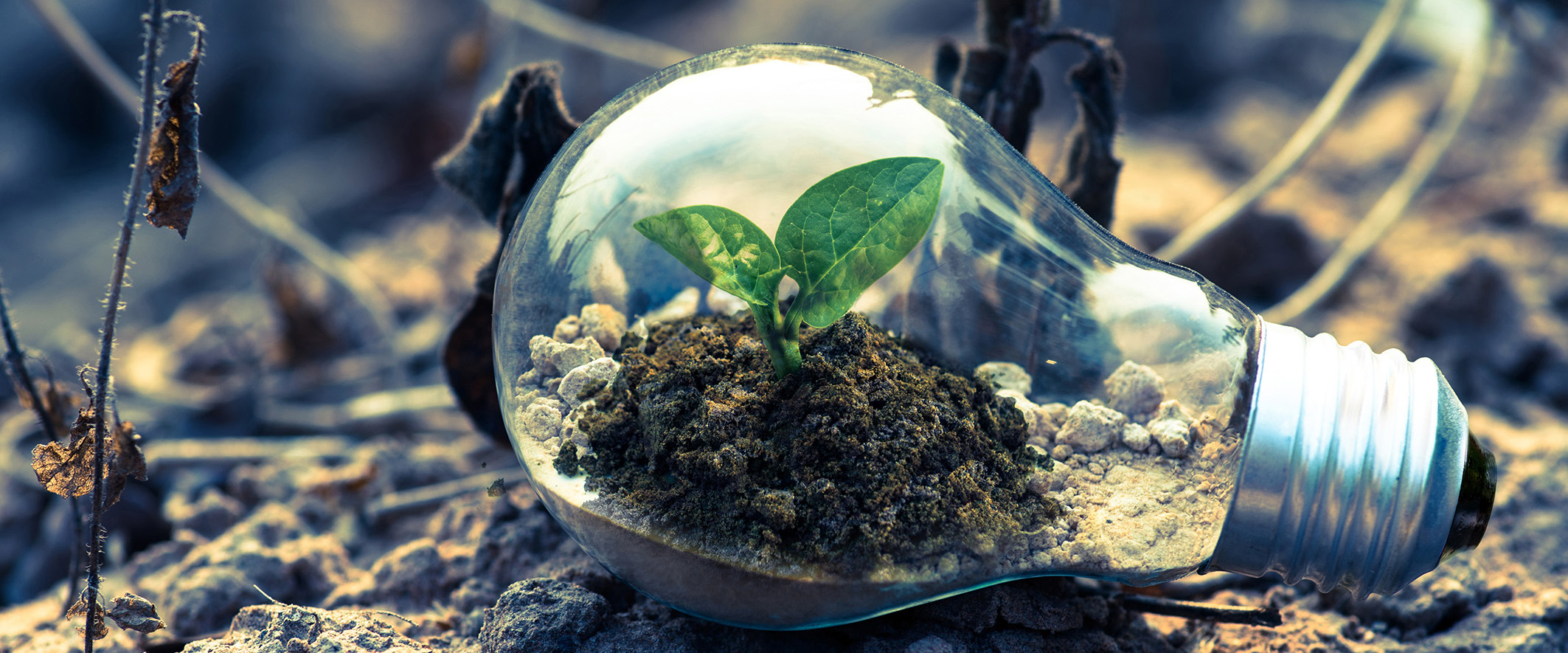 Plasseraud IP Newsletter juillet 2019 Loi PACTE