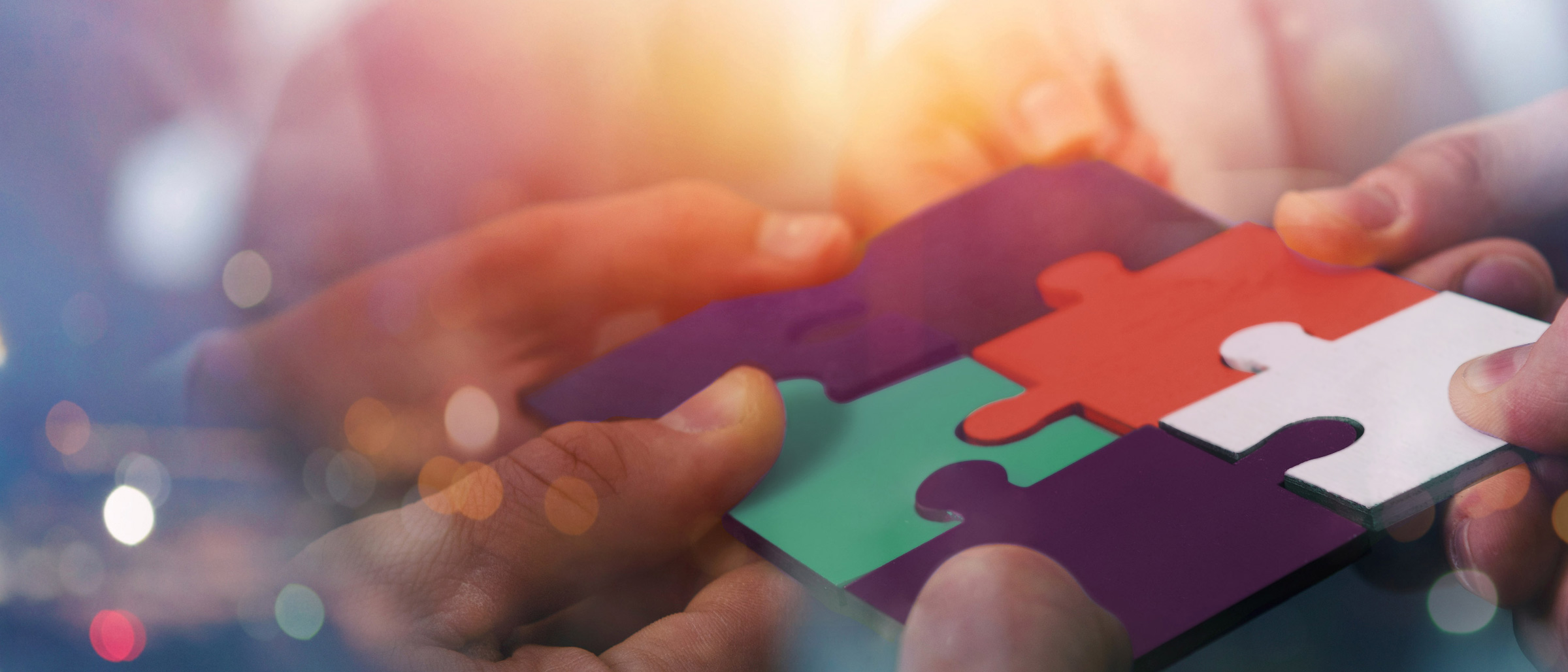 Contrats & Valorisation