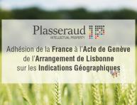 Plasseraud IP Origines & Qualités