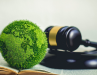 Plasseraud IP contribue au magazine en ligne Leather Fashion Design avec l'article «  Communication environnementale : l’Europe fixe la règle du jeu pour protéger les consommateurs des allégations trompeuses »