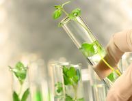 Plasseraud IP partenaire exclusif d’Axelera - Pôle de compétitivité Chimie-Environnement Auvergne-Rhône-Alpes