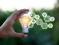 Écoconception et Propriété Intellectuelle : enjeux stratégiques pour la Filière Française du Cuir