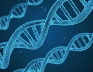 Lois et produits de la nature aux US : Où en sommes-nous ?