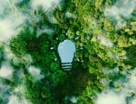 Brevets verts : un atout contre le réchauffement climatique