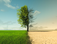 Brevets Verts Plasseraud IP 