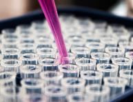 Clinical trials : implementation of the new regulation