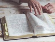 Première décision de l’INPI dans le cadre d’une action en déchéance