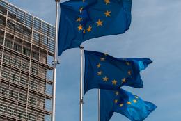 EPOの拡大審判部への新たな付託