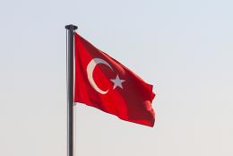 Vers une vague de cybersquatting en Turquie ?