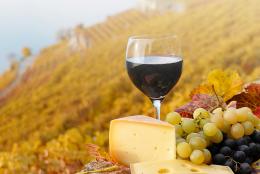 Origines & Qualités