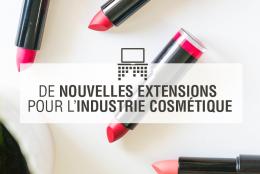 Extensions Plasseraud IP