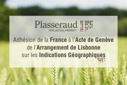 Plasseraud IP Origines & Qualités