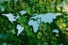 Climate Change Mitigation Pilot Program