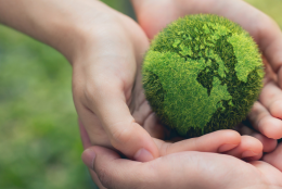 Plasseraud IP réduit son empreinte carbone de 8,4 % en trois ans