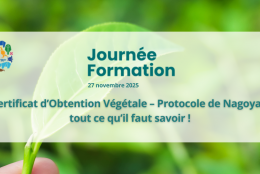 Bioeconomy For Change x Plasseraud IP : Protéger l’innovation végétale, une compétence à cultiver !