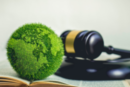 Plasseraud IP contribue au magazine en ligne Leather Fashion Design avec l'article «  Communication environnementale : l’Europe fixe la règle du jeu pour protéger les consommateurs des allégations trompeuses »