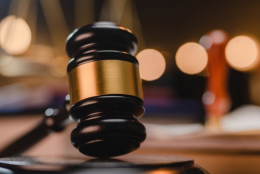 G1/25: The Enlarged Board of Appeal buries cosmetic cleanups