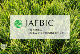 Plasseraud IP in Tokyo : intellectual property at the heart of export strategies to Europe