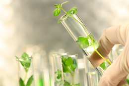 Plasseraud IP partenaire exclusif d’Axelera - Pôle de compétitivité Chimie-Environnement Auvergne-Rhône-Alpes