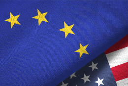 Obtaining an EP Patent - A crash course for the US applicant #1