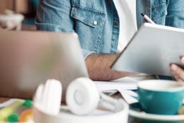 Article Plasseraud IP