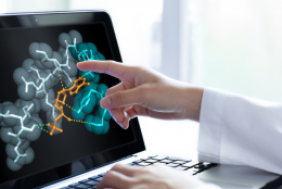 New pharmaceutical molecules, new clinical protocols: what impact does in silico have on patentability in biotechnology?