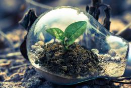 Plasseraud IP Newsletter juillet 2019 Loi PACTE