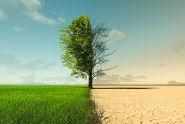 Brevets Verts Plasseraud IP 