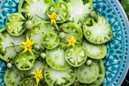 Brevetabilité des plantes