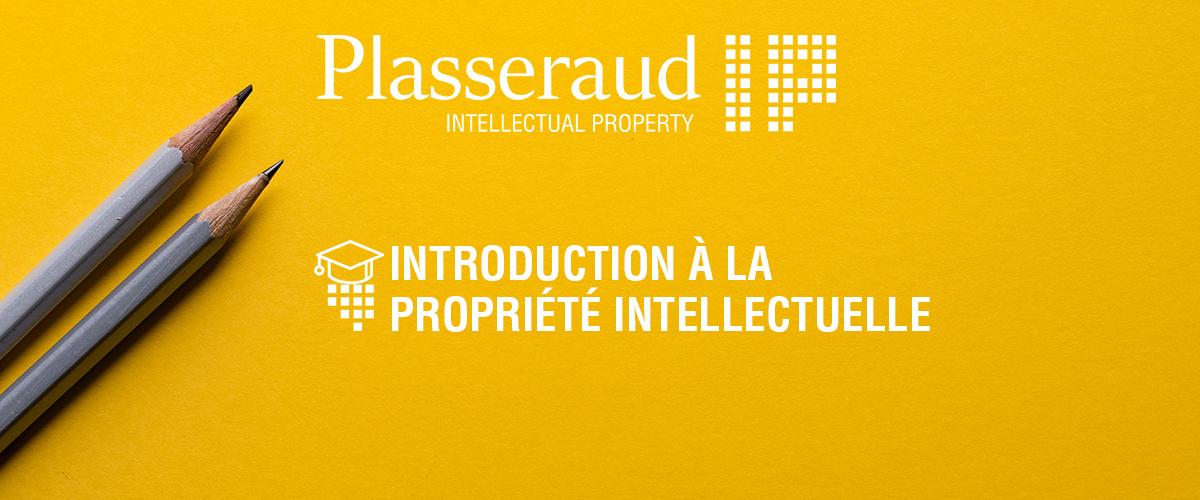 Plasseraud IP Formation PI