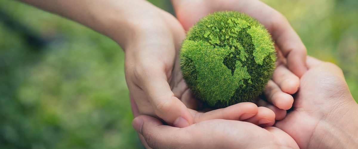 Plasseraud IP réduit son empreinte carbone de 8,4 % en trois ans