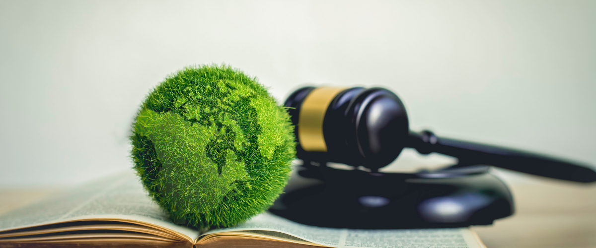 Plasseraud IP contribue au magazine en ligne Leather Fashion Design avec l'article «  Communication environnementale : l’Europe fixe la règle du jeu pour protéger les consommateurs des allégations trompeuses »