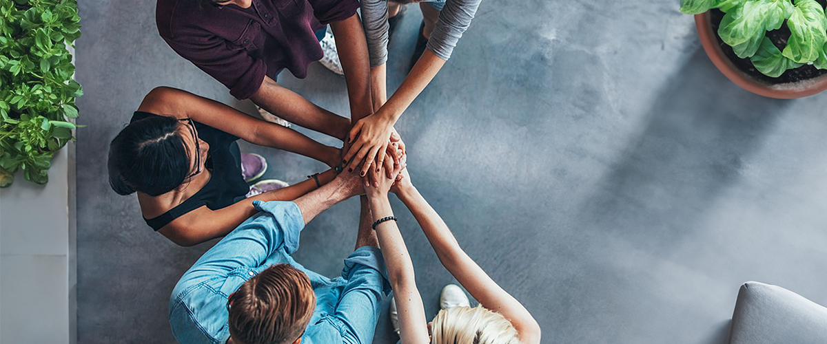 Discover the diversity of Plasseraud IP's talents