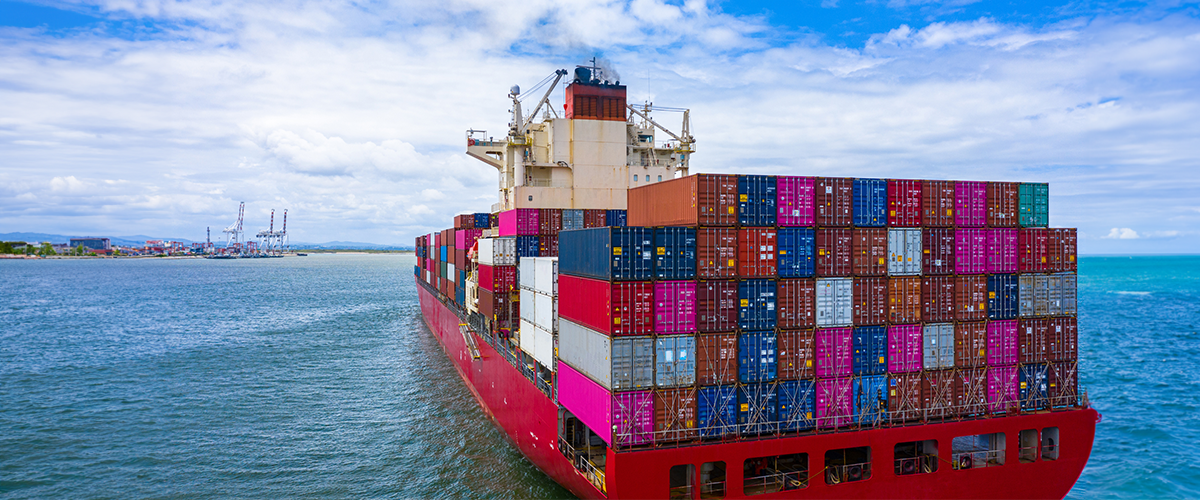 Plasseraud IP Anti-contrefaçon partenaire de React  - Le réseau international anti-contrefaçons