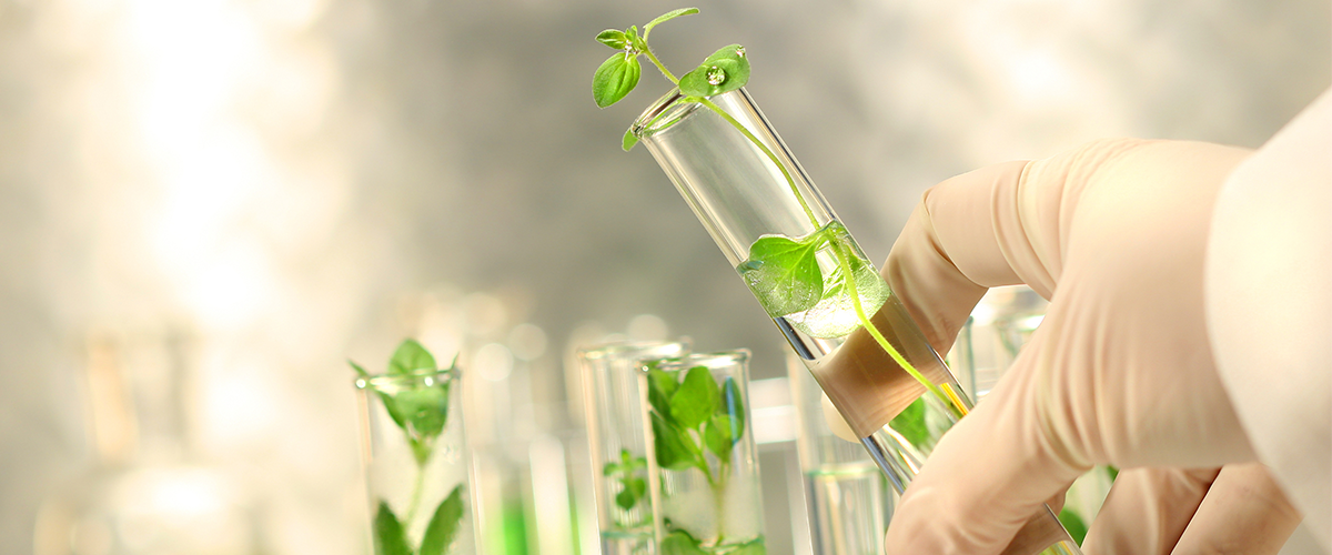 Plasseraud IP partenaire exclusif d’Axelera - Pôle de compétitivité Chimie-Environnement Auvergne-Rhône-Alpes