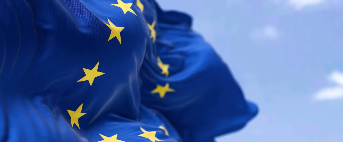 European Customs: France Announces Bid to Host New Authority in Lille