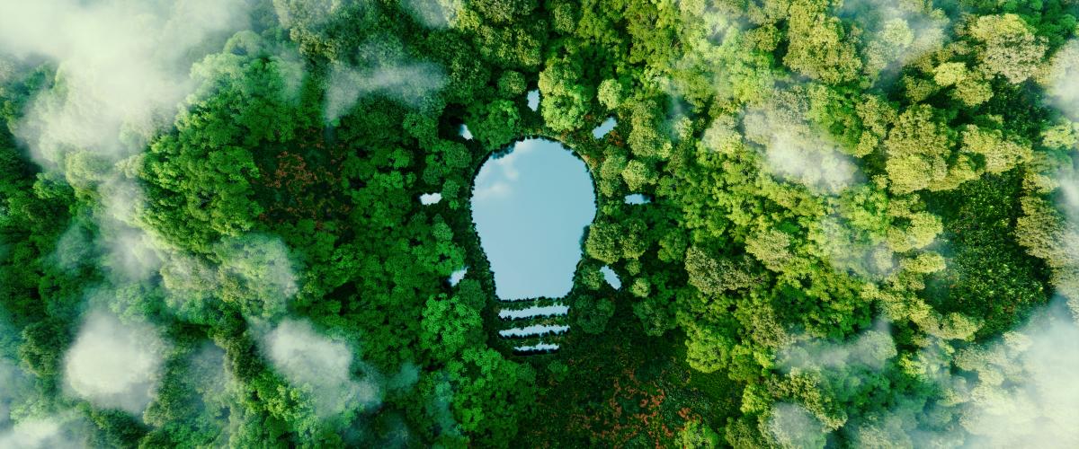 Brevets verts : un atout contre le réchauffement climatique